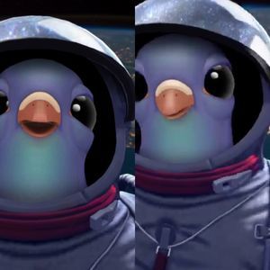 Meet your Posher, Crystal